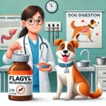 Flagyl for Diarrhea in Dog